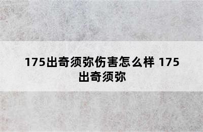 175出奇须弥伤害怎么样 175出奇须弥